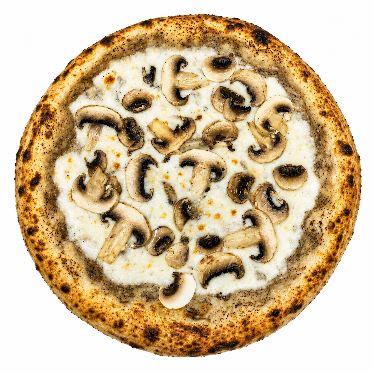 Truffel & mushroom from Napoli 7